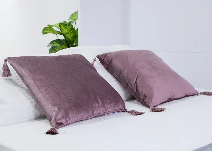 Estudio Playa Locos, 또레비에하